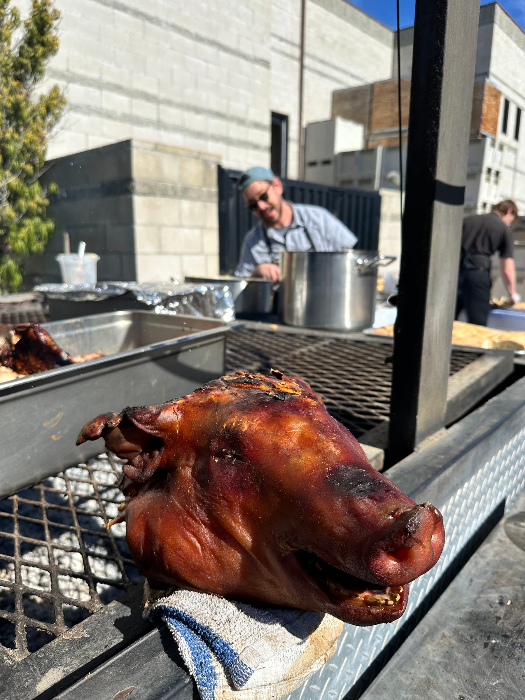 The pig roast