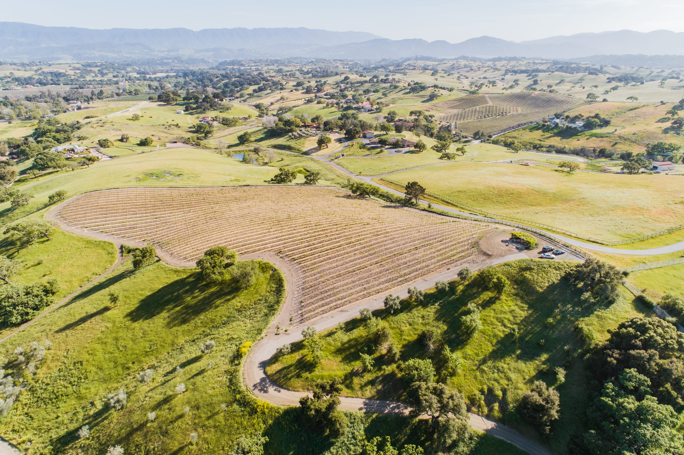 Margerum Estate Vineyard from the air